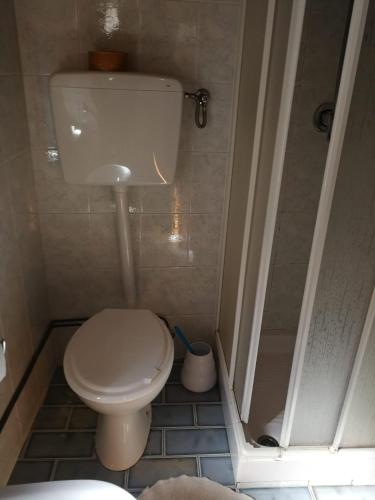 a small bathroom with a toilet and a shower at CasaRiomaggiore "a few steps from the sea" in Riomaggiore