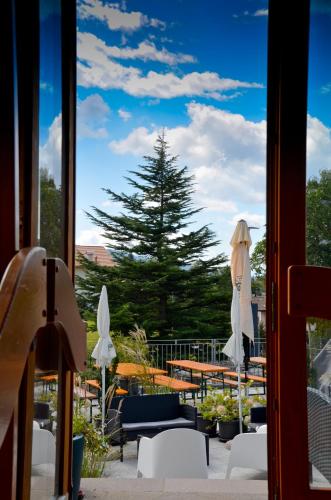 a window view of a patio with chairs and tables at Hotel Villa Argentina Ronzone in Ronzone
