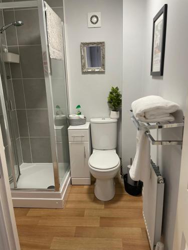 a bathroom with a toilet and a shower at Lichfield City Home in Lichfield