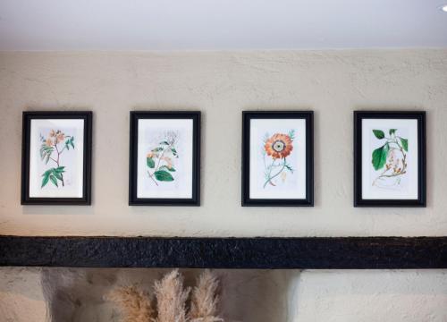 four framed drawings of flowers on a wall at Haighton Manor - Brunning and Price in Grimsargh