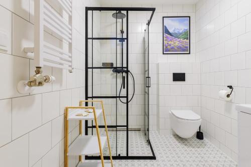 a bathroom with a shower and a toilet at Panocek i Babka in Białka Tatrzanska