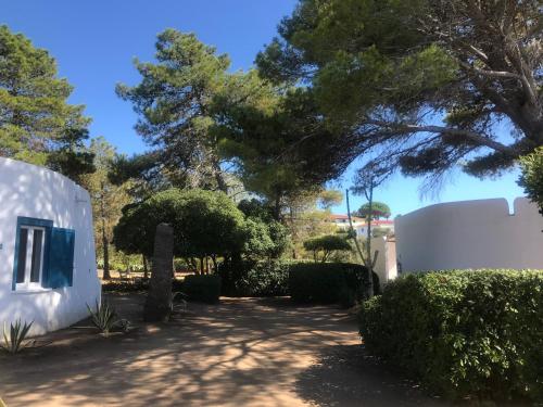 a garden with trees and a white building at Residenza Gherly in Capo Vaticano