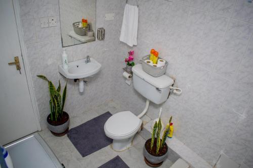 a bathroom with a toilet and a sink with plants at Arabella Alpha - Modern & Homely 1-Bedroom Apartment in Karen in Karen