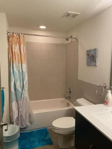 a bathroom with a toilet and a tub and a sink at Charming 2 bedroom apartment near VCU in Richmond