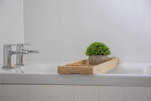 uma planta em vasos sentada em cima de um lavatório de cozinha em Lovely 3-bedroom apartment in Colchester em Colchester