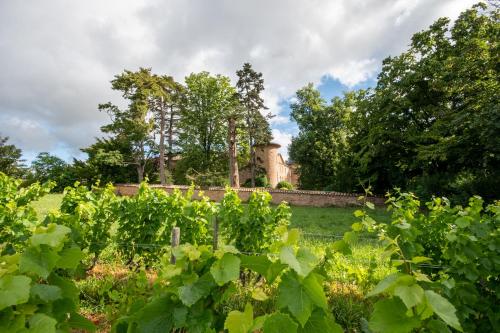 Château de Champ-Renard – Photos 3