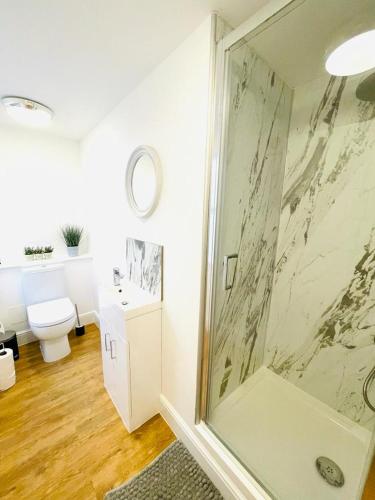 a bathroom with a shower and a toilet and a sink at Prosper House Apartments in Norwich