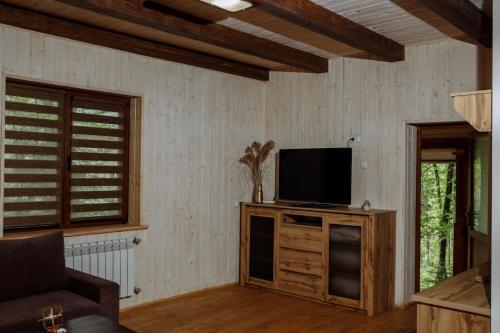 a living room with a television on a wooden cabinet at База відпочинку ШИПОВЕЦЬ in Poroškov