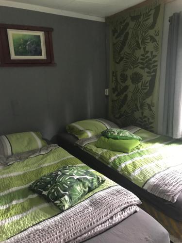 twee bedden in een kamer met groene lakens bij Sfeervol Chalet in Drenthe Bij het Dwingelderveld in Spier