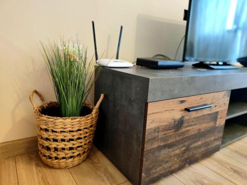 Φωτογραφία από το άλμπουμ του vins studio στο Μπάνσκο