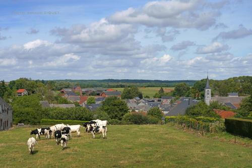 a herd of cows grazing in a field with a town at Gîte familial ferme des aujes falaen in Onhaye