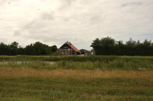 a house in the middle of a field at Bed & Breakfast ‘Tuus op Tessel’ in Oosterend