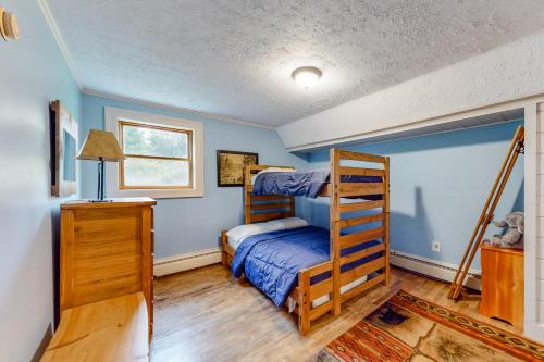 a bedroom with a bunk bed and a ladder at East Cove in Greenville