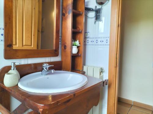 een badkamer met een wastafel en een spiegel bij LA VIÑAZA ORDESA 4-6 PAX in Laspuña