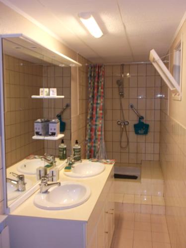 uma casa de banho com 2 lavatórios e um chuveiro em LA SALAMANDRE em Chazelles