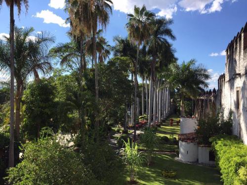 a row of palm trees in a park at Hotel Hacienda Vista Hermosa in Tequesquitengo