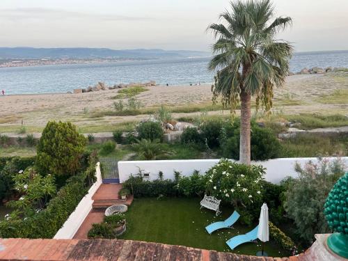 a garden with a palm tree and a beach at Casa Azzurra in Messina