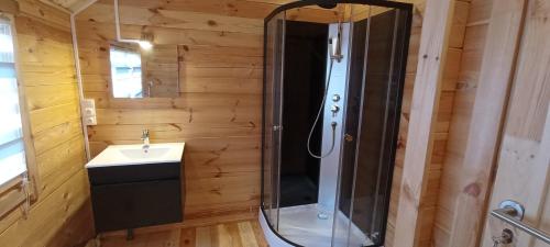 a bathroom with a shower and a sink at Les Chalets de La Vialette in Servières-le-Château