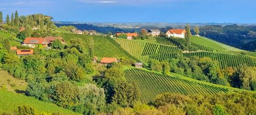een luchtzicht op een wijngaard met een huis op een heuvel bij Glanz und Gloria Weingartenapartment an der Kellerstraße, viele Buschenschänke, sehr ruhige Lage, herrliche Aussicht! in Leutschach