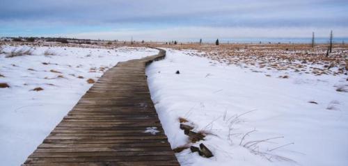 a wooden path through a snow covered field at Le Mont Rigi in Waimes