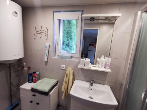 a bathroom with a sink and a toilet and a mirror at Apartmány Svítkov 79 in Pardubice