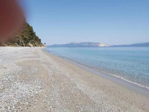 a beach with a rocky shore and the ocean at Villa Freedom - Koutsoubri Beach Evia in Agriovótanon