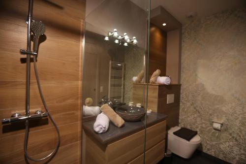 a bathroom with a shower and a sink and a toilet at La Transparence in Mazaye