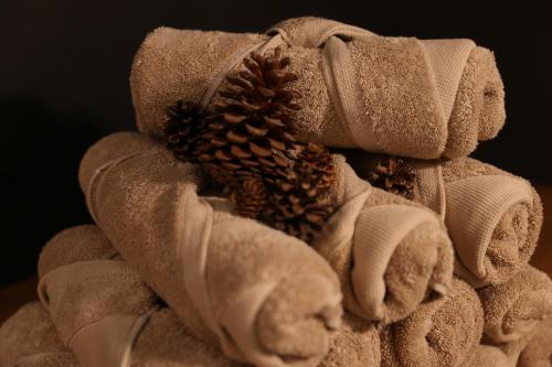 a brown teddy bear with a pine cone on it at La Transparence in Mazaye