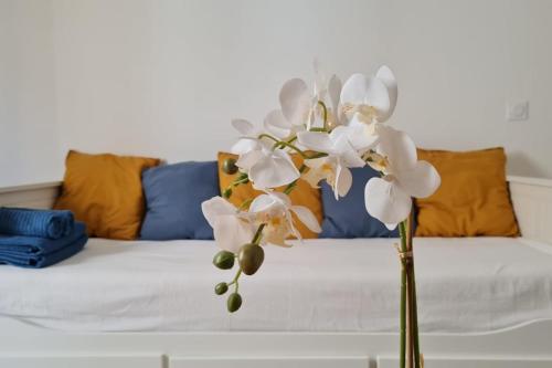 un vase avec des fleurs blanches devant un canapé dans l'établissement Gramat studio de charme, à Gramat