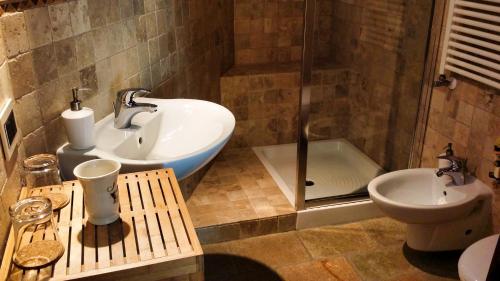 a bathroom with a sink and a toilet and a shower at Le Renard d'Introd in Introd