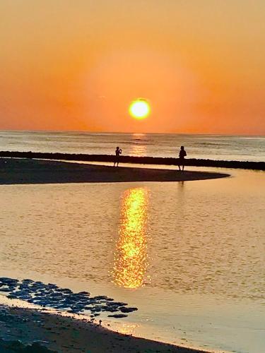 two people walking on the beach at sunset at Malas Island View in Fulidhoo