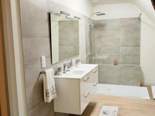 een badkamer met wastafel en douche met spiegel bij La Moyendrie in Les Montils