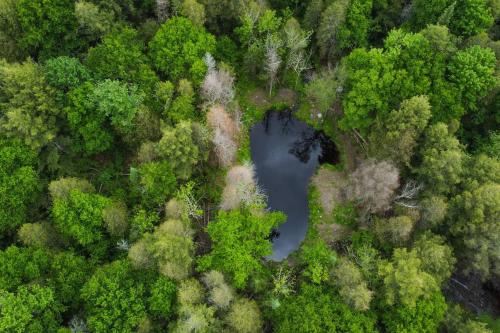 an aerial view of a lake in a forest at Private Off Grid Chalet Nestled in Nature With Waterfront Access Near Algonquin Park in Barrys Bay