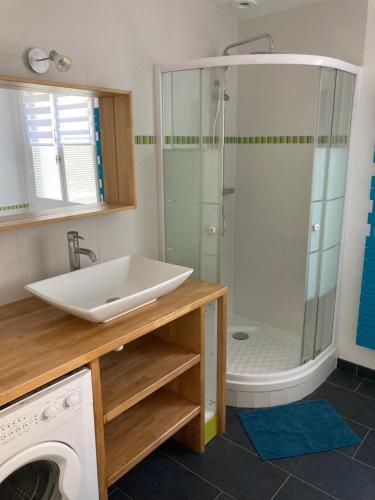 a bathroom with a shower and a sink and a washing machine at Cabane de pêcheurs avec spa au pied de l'étang in Hédé