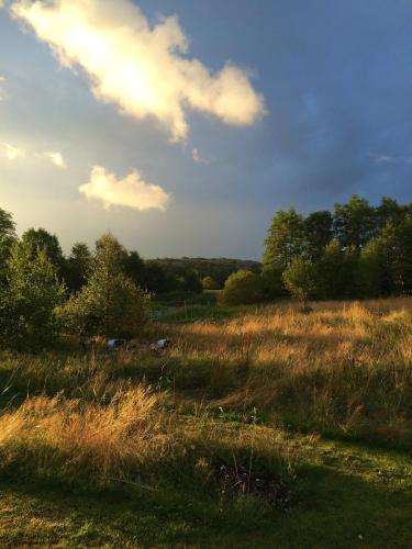 a field with tall grass and trees and a cloudy sky at Hamburgö in Hamburgsund