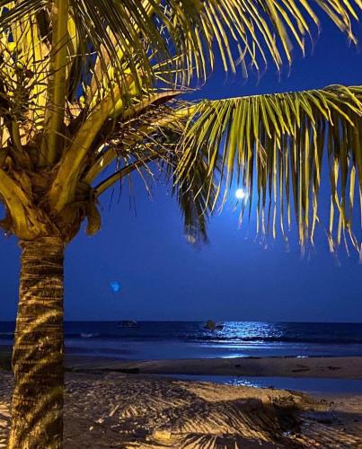 a palm tree on the beach at night at Pousada Beira Mar in Pitimbu