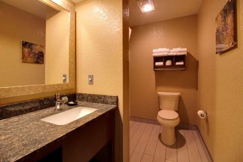 a bathroom with a sink and a toilet and a mirror at Best Western Harbour Pointe Lakefront in Saint Ignace