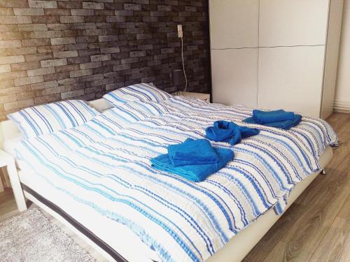 a bed with blue towels on top of it at F-1107 Ferienwohnungen Schilfhalm FeWo 02 1 sep Schlafzimmer, Außennbereich in Garz