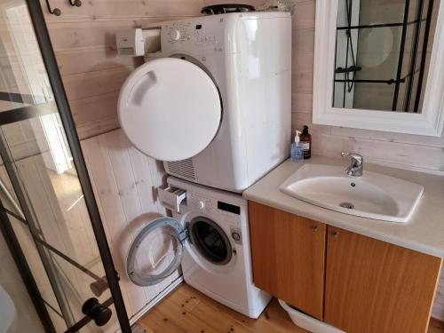 a small bathroom with a washing machine and a sink at Adventure Eagle Cottege in Geysir