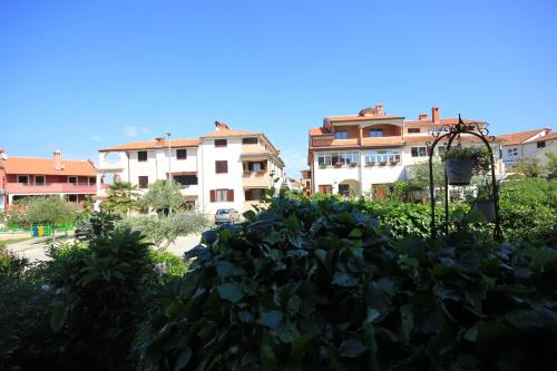 Family-friendly apartments with swimming pool Rovinj - 3394