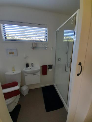 a bathroom with a shower and a toilet and a sink at Kuaotunu's Peebles Cottage in Kuaotunu