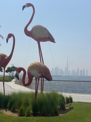 Fotografie z fotogalerie ubytování Modern Urban 3 bedroom apartment Dubai Creek Harbour v Dubaji