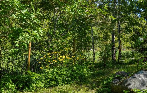 a forest filled with lots of trees and yellow flowers at Awesome Home In Hallstavik With Wifi in Hallstavik