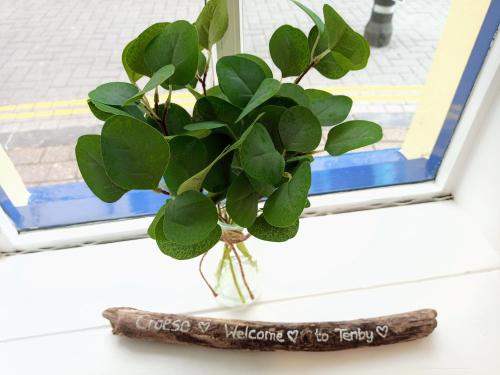 a plant in a vase on a window sill at Gwandalan - 1 Bed Apartment, Within Tenby Town Walls in Tenby
