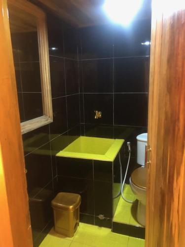 a bathroom with a green sink and a toilet at Chakra Tavern in Bedugul