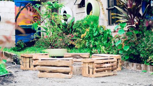 a garden with a bunch of wooden boxes at Arusha Jua Eco Home- on coffee farm in Arusha