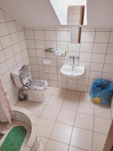łazienka z toaletą i umywalką w obiekcie Delmajk w mieście Mała Nieszawka