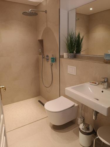 a bathroom with a shower and a toilet and a sink at Fitschen am Dorfteich in Wenningstedt