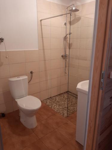 Kúpeľňa v ubytovaní OSADA SZWEDZKA Domek Standard