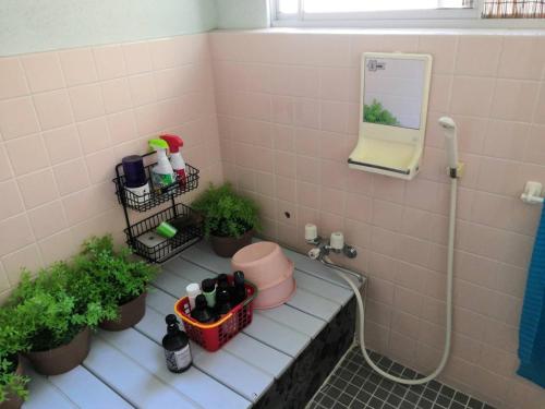 a bathroom with potted plants and a sink and a mirror at shiokaze guest house / Vacation STAY 6794 in Matsuyama